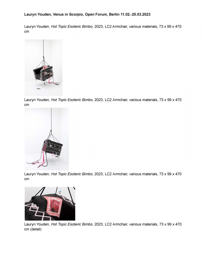 Lauryn Youden_Venus in Scorpio_Open Forum_Exhibition Checklist and Image Captions_Page_07