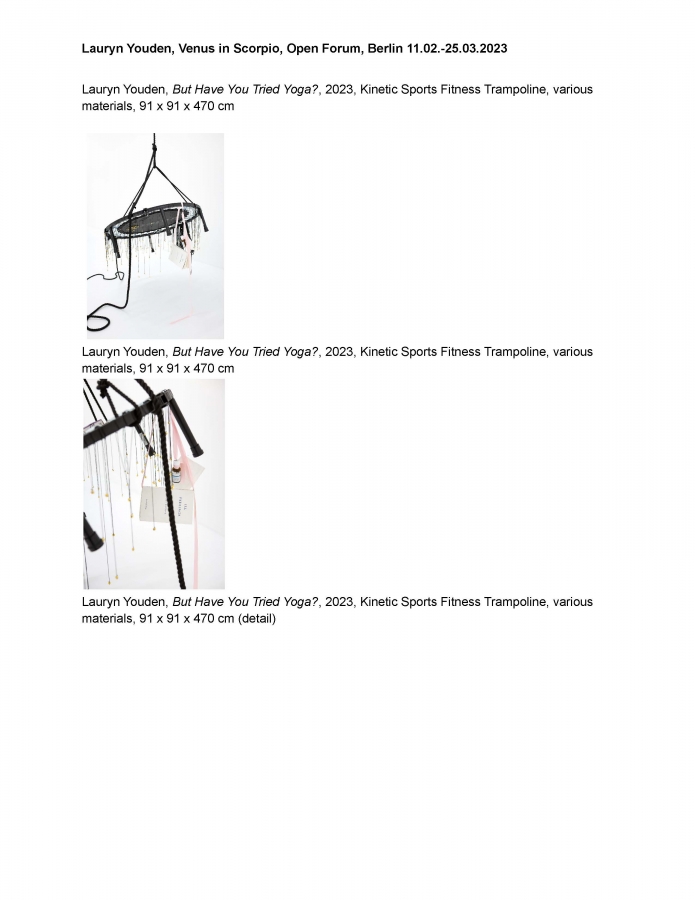 Lauryn Youden_Venus in Scorpio_Open Forum_Exhibition Checklist and Image Captions_Page_12