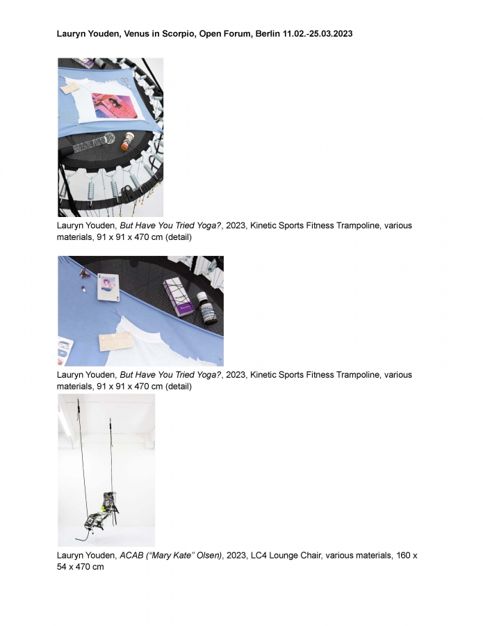 Lauryn Youden_Venus in Scorpio_Open Forum_Exhibition Checklist and Image Captions_Page_13